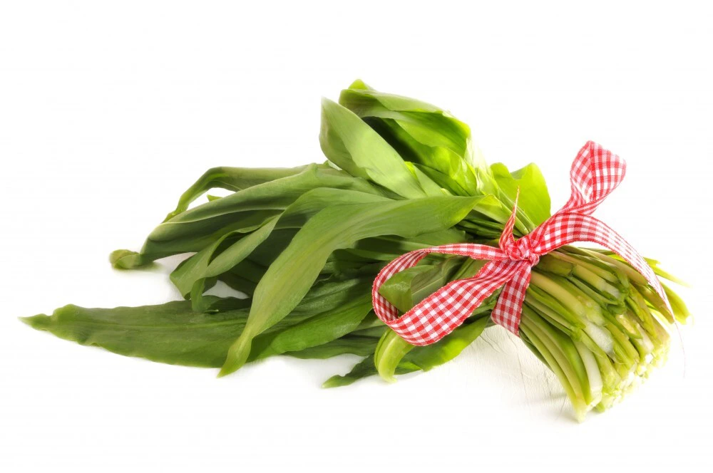 Bärlauch, Kochen, Jochen