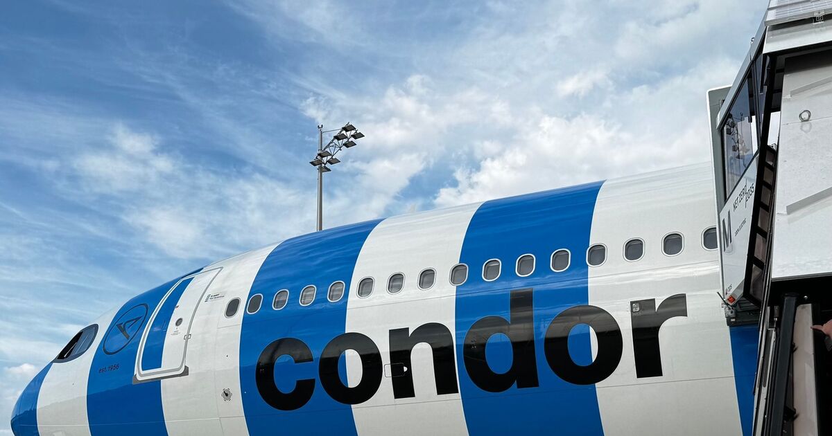 Im blau-weißen Flieger: FC Bayern startet Asien-Tour