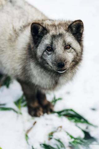 — © Bild: Jan Sauer / Tierpark Hellabrunn