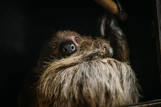 — © Bild: Jan Sauer / Tierpark Hellabrunn
