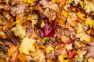 Das Wetter in Bayern zeigt sich weiter herbstlich. (Archivbild) — © Daniel Vogl/dpa
