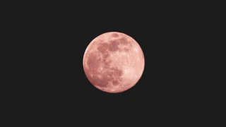  — © Bild: uomo libero auf Unsplash