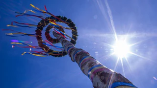 Es gibt meist einen großen Maibaum an zentralen Plätzen der Ortschaften - aufwendig dekoriert und vor dem Aufstellen gut bewacht. (Symbolbild) — © Jens Büttner/dpa