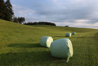 Mit sommerlichen Temperaturen in Bayern geht es ins Wochenende. — © Karl-Josef Hildenbrand/dpa