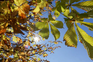 Die kommenden Tage bleibt es sonnig und warm in Bayern, einzig nachts wird es frisch. (Symbolbild) — © Thomas Warnack/dpa