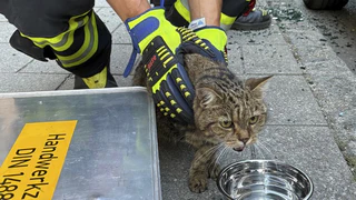 — © Foto: Feuerwehr München