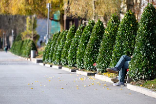 In Bayern soll es in den kommenden Tagen sonnig und mild werden. — © Armin Weigel/dpa