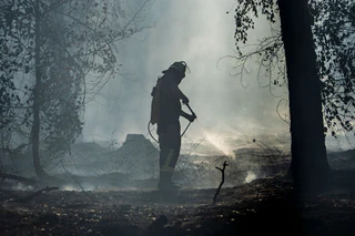 Feuerwehrleute kämpfen gegen einen  Waldbrand in Hessen knapp vor der bayerischen Grenze.   — © Andreas Arnold/dpa