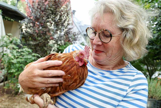 Ursula Höfling hält seit Jahren Hennen. — © Daniel Löb/dpa