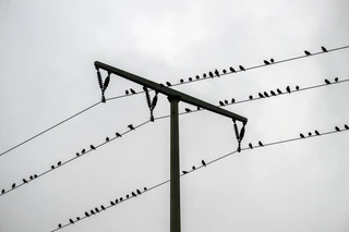 Im Laufe des Samstags sollen die Wolken über Bayern zunehmen aufreißen. (Archivbild) — © Pia Bayer/dpa