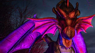 — © © Bild: EMS