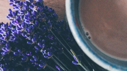 Beitragsbild Lavendel Latte Kaffee Trend — © Bild: Unsplash