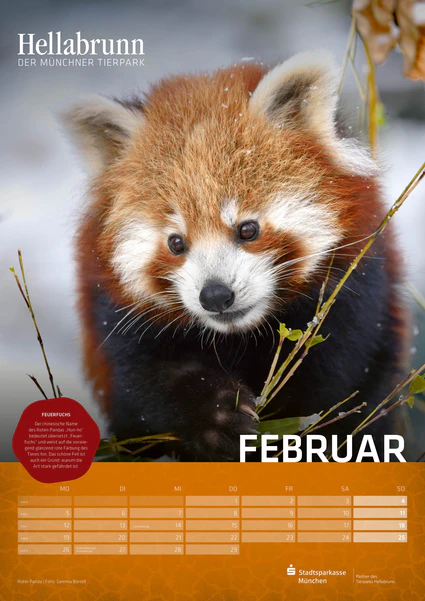 Kalender Tierpark Hellabrunn — © Bild: Tierpark Hellabrunn / Gemma Borrell
