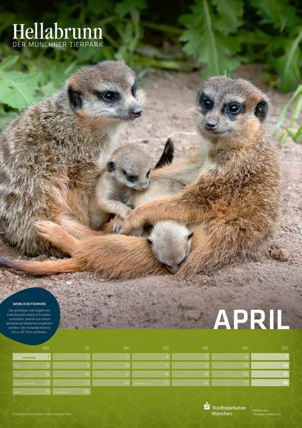 Kalender Tierpark Hellabrunn — © Bild: Tierpark Hellabrunn / Daniela Hierl