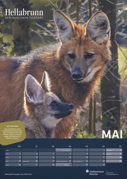 Tierpark Hellabrunn — © Bild: Tierpark Hellabrunn / Maria Fencik