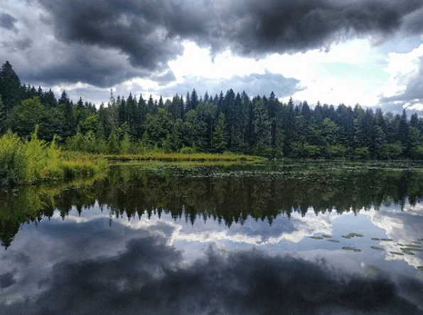 Hackensee, Holzkirchen — © www.instagram.com/yviza/
