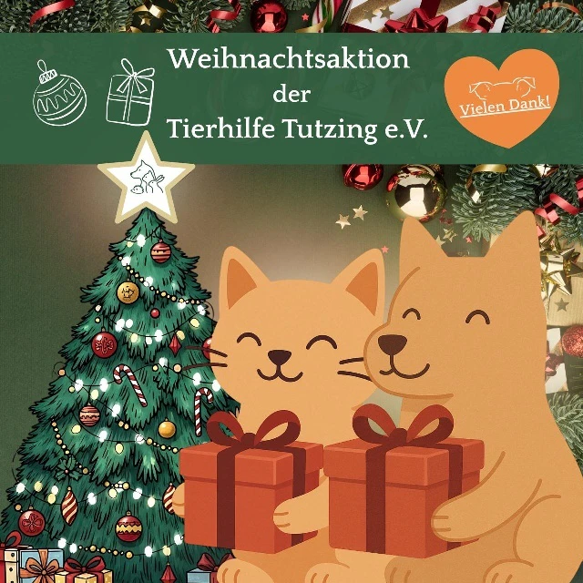 — © Bild: Tierhilfe Tutzing e.V.