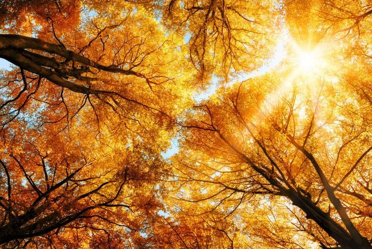 Herbstsonne