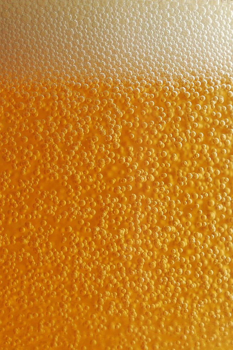 Bier, Tag des deutschen Bieres, Messe, Braukunst — © Mehr als 100 Aussteller präsentierten ihre Produkte und Neuheiten. Foto: Marius Becker/Archiv