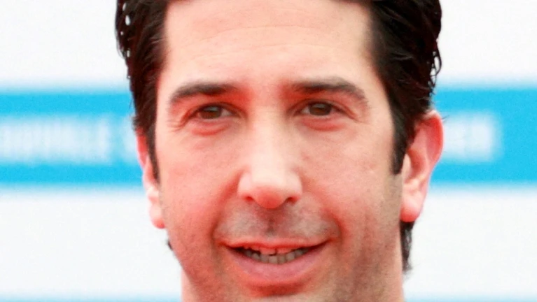 David Schwimmer — © Von Philippe Berdalle - David Schwimmer, CC BY-SA 2.0, https://commons.wikimedia.org/w/index.php?curid=17679249