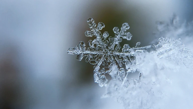 Schnee Schneeflocke Winter kalt draußen Dezember — © Bild: Aaron Burden auf Unsplash