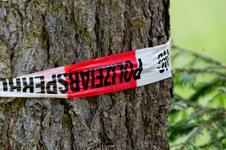 Sexuelle Nötigung, Bavaria, Peggy — © Absperrband an einer Straße zwischen Rodacherbrunn und Nordhalben. Foto: Daniel Karmann/Archiv