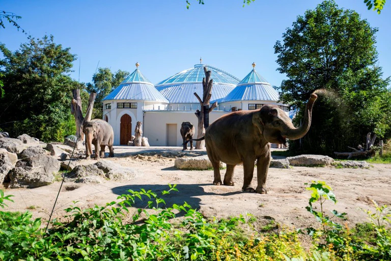 Elefantenhaus, Tierpark — © Bild: Marc Müller/Tierpark Hellabrunn