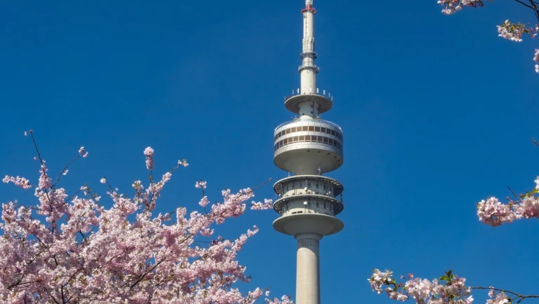 Kirschblüte Olympiapark — © Bildnachweis: pwmotion / IStock