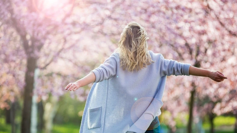 Kirschblüte Frühling — © Suzi Media Production / iStock