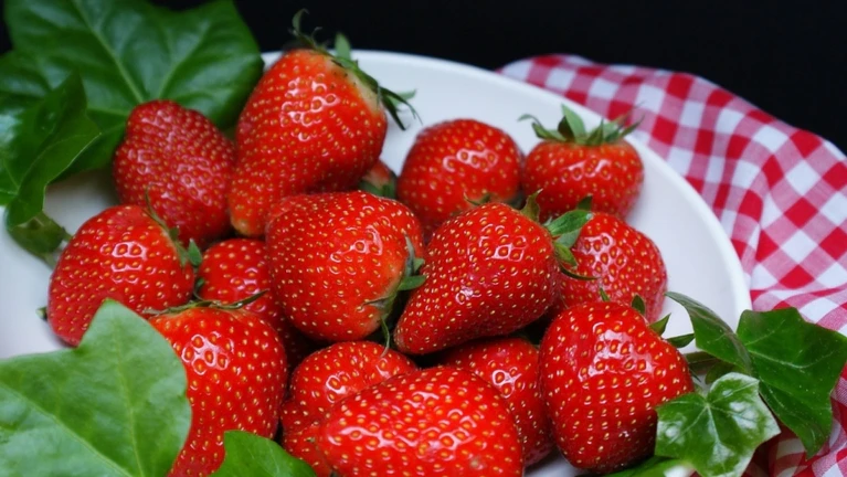 Erdbeeren — © Vincentia auf Pixabay