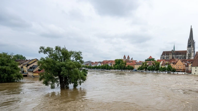 Die Donau führt an der Steinernen Brücke Hochwasser. — © ©&nbsp;Bild: Armin Weigel / dpa (Symbolbild)