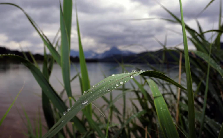 Sommer Wetter, Wolken, Schauer, Frühsommer — © Dichte Regenwolken ziehen über einem See auf. Foto: Karl-Josef Hildenbrand/Archiv