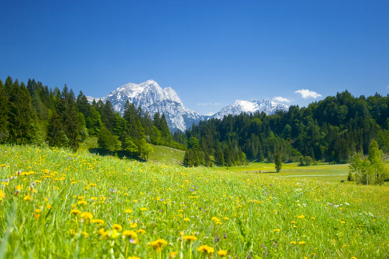 Frühling Berge Wiese