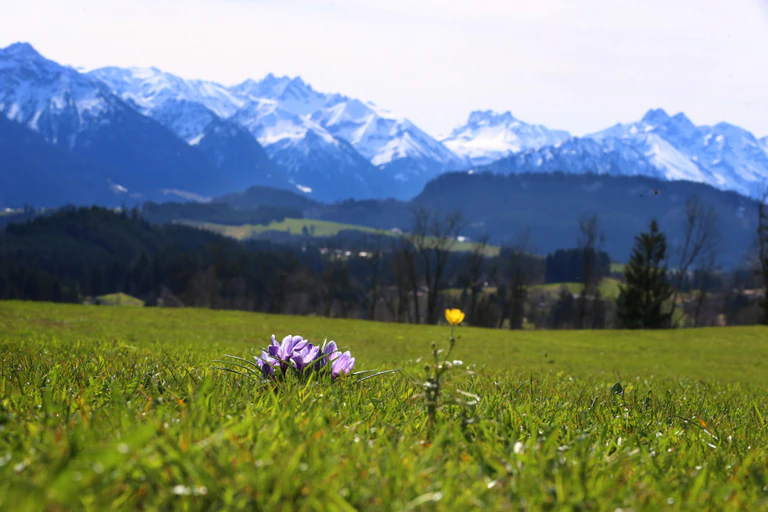Ostern, Sonne, Waldbrandgefahr — © Bild: Karl-Josef Hildenbrand