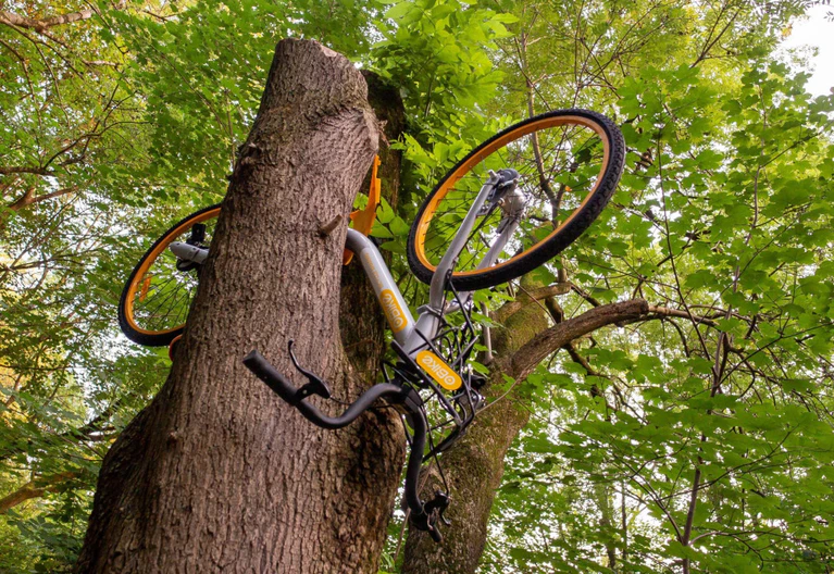 Obike — © Ein Rad des Verleihunternehmens Obike hängt in München in einem Baum. Foto: Peter Kneffel/Archivbild