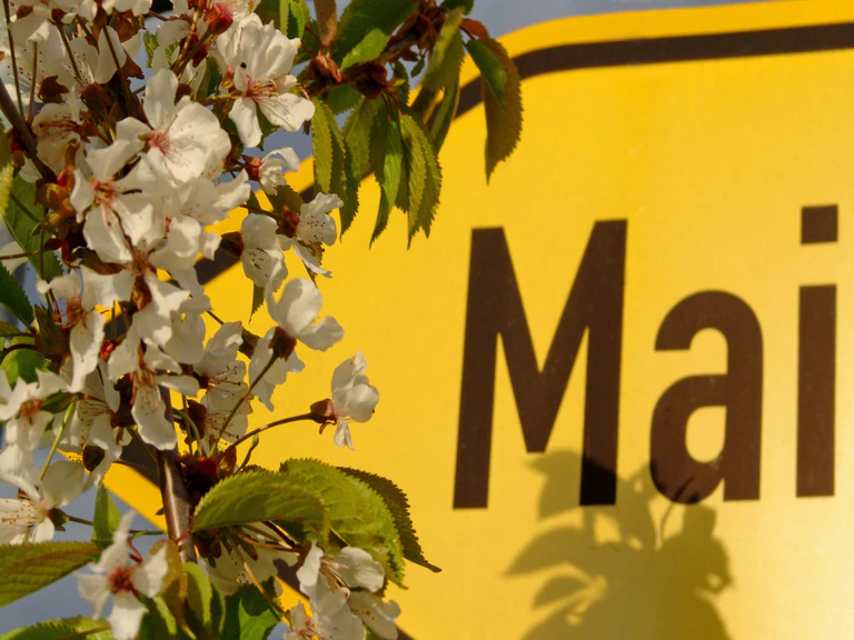 Mai, Änderungen — © Mai