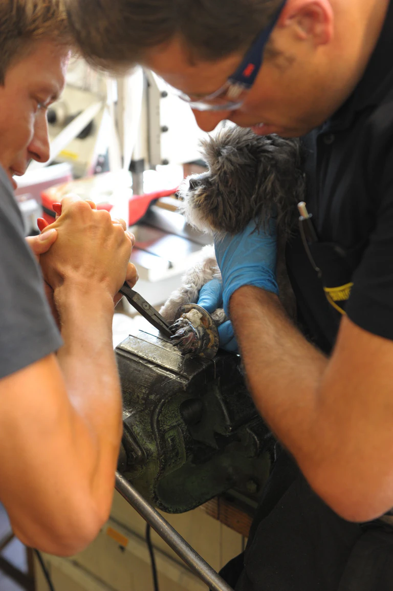 Feuerwehr München Hund Dusche Hundedame — © Bild: Berufsfeuerwehr München