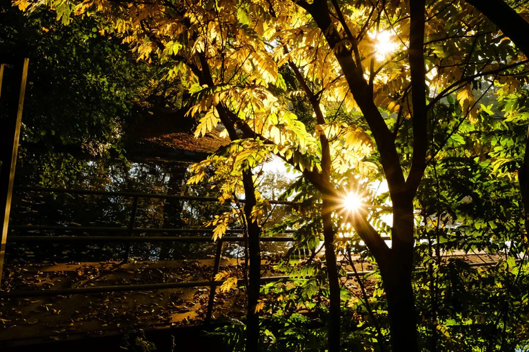 Sommer, Sonne — © Bild: Frank Molter/Archiv