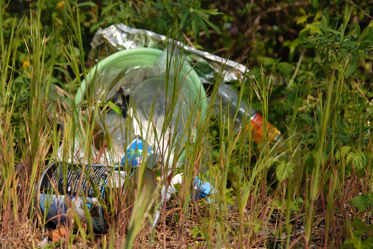 Müll, Abfall, Natur, Umweltverschmutzung, Plastik, Ramadama, Aufräumen — © Bild: Symbolbild