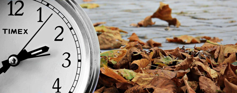 — © Pixel2013 auf Pixabay