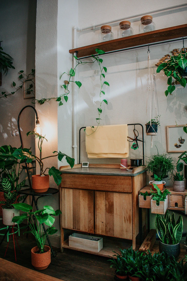  — ©  Bild: Ceyda Çiftci on Unsplash