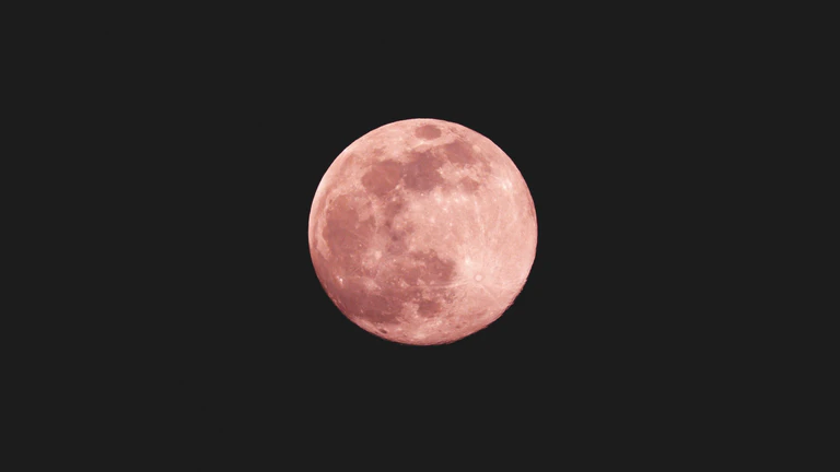 — © Bild: uomo libero auf Unsplash
