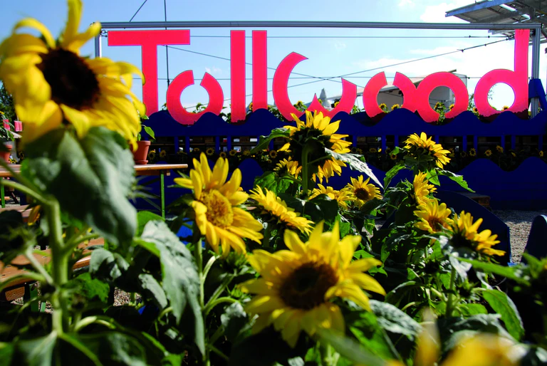 — © Bild: Tollwood