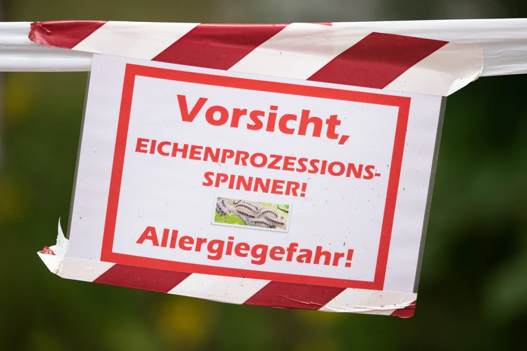 Die können schwere allergische Reaktionen, Hautreizungen und Atembeschwerden auslösen. (Archivbild) — © Friso Gentsch/dpa