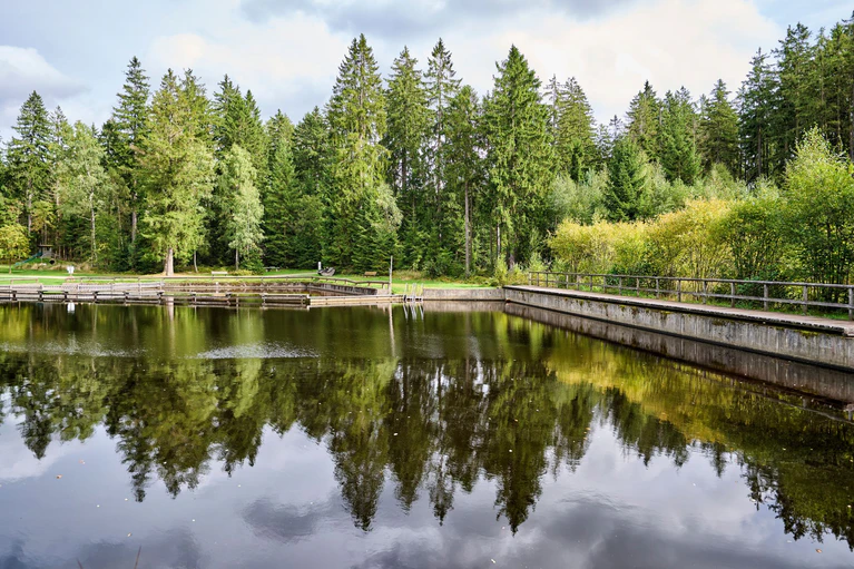 Idyllisch mitten im Wald liegt das Moorbad Fleckl am Rand des Ochsenkopfs im Fichtelgebirge. — © Florian Trykowski/Tourismuszentrale Fichtelgebirge /dpa
