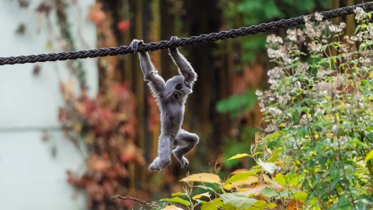 — © Tierpark Hellabrunn / Jan Saurer