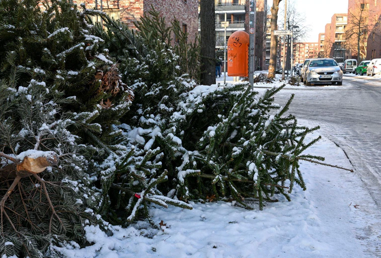 Die Christbäume waren jeweils mit vier Euro als Spende für die Pfadfinder bestückt. (Symbolbild) — © Jens Kalaene/dpa