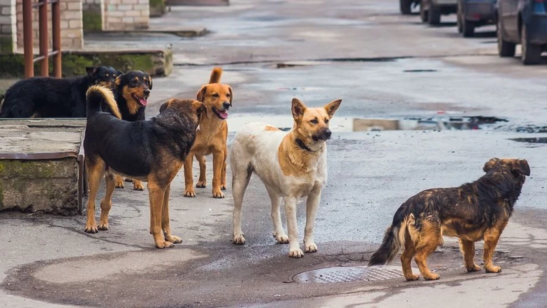  — © Bildnachweis:horkins / IStock 