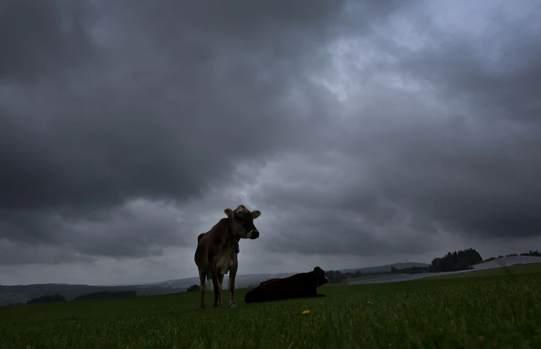 Am Dienstag soll es viel Regen und einzelne Gewitter geben. (Archivbild) — © Karl-Josef Hildenbrand/dpa