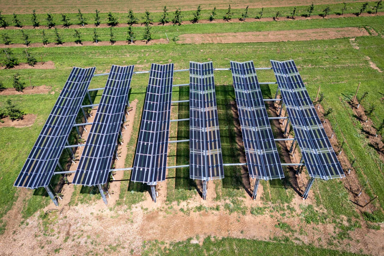 Solarmodule spenden Kirschbäumen Schatten - im Landkreis Forchheim läuft dieses Modellprojekt. — © Daniel Karmann/dpa